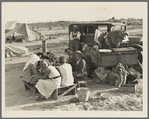 Potato harvesters. Kern County, California