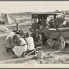 Potato harvesters. Kern County, California