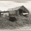 Cotton pickers camp. Kern County, California