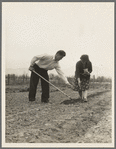Outskirts of San Bernardino, California. A new home in California. Drought refugees from Colorado now making a new start in California. Living in Cotton Gardens