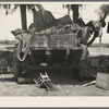 Stranded in southern California. Belongings of Oklahoma drought refugees camped alongside the road