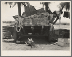 Stranded in southern California. Belongings of Oklahoma drought refugees camped alongside the road