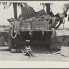 Stranded in southern California. Belongings of Oklahoma drought refugees camped alongside the road