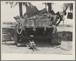 Stranded in southern California. Belongings of Oklahoma drought refugees camped alongside the road