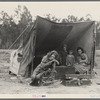 Migrant agricultural worker's family. Seven hungry children. Mother aged thirty-two. Father is native Californian. Nipomo, California
