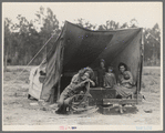 Migrant agricultural worker's family. Seven hungry children. Mother aged thirty-two. Father is native Californian. Nipomo, California