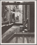 Out of rear window tenement dwelling of Mr. and Mrs. Jacob Solomon, 133 Avenue D, New York City. The Solomon family are all on the accepted list for resettlement at Hightstown, New Jersey