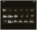 Keysheet for the stage production Company
