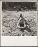 Boy, fourteen, in eighth grade. Now unable to attend because of insufficient food and clothing. Subsisted two days on frozen tomatoes from field nearby