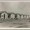 Company housing for cotton workers near Corcoran, California