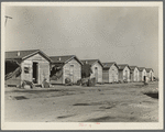 Company housing for cotton workers near Corcoran, California