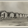 Company housing for cotton workers near Corcoran, California