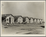 Company housing for cotton workers near Corcoran, California