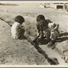 Mexican children playing in ditch which runs through company cotton camp near Corcoran, California