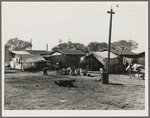 Housing for migratory cotton workers five miles north of Corcoran, California. The famous strikers' concentration camp in 1933 was in Corcoran