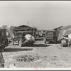 Housing for migratory workers in cotton, five miles north of Corcoran, California. The famous strikers' concentration camp in 1933 was at Corcoran camp