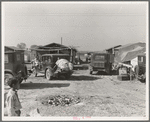 Housing for migratory workers in cotton, five miles north of Corcoran, California. The famous strikers' concentration camp in 1933 was at Corcoran camp
