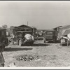 Housing for migratory workers in cotton, five miles north of Corcoran, California. The famous strikers' concentration camp in 1933 was at Corcoran camp