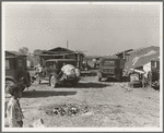 Housing for migratory workers in cotton, five miles north of Corcoran, California. The famous strikers' concentration camp in 1933 was at Corcoran camp