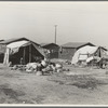 Company housing for cotton workers near Corcoran, California