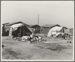 Company housing for cotton workers near Corcoran, California