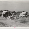 Company housing for cotton workers near Corcoran, California