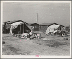 Company housing for cotton workers near Corcoran, California