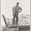 Cotton picker. Southern San Joaquin Valley, California