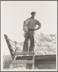 Cotton picker. Southern San Joaquin Valley, California