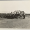 Weighing in cotton. Southern San Joaquin Valley, California