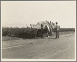 Weighing in cotton. Southern San Joaquin Valley, California