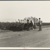 Weighing in cotton. Southern San Joaquin Valley, California