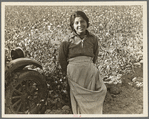 Cotton picker. Southern San Joaquin Valley, California