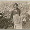 Cotton picker. Southern San Joaquin Valley, California