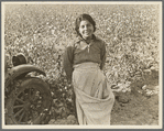 Cotton picker. Southern San Joaquin Valley, California