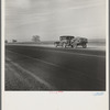 Migrant family on U.S. Highway 99 between Bakersfield and Famoso, California. Note: the photographer passed twenty-eight cars of this type while driving thirty-five miles between 9:00 and 9:45 in the morning