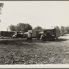 Squatter camp. Outskirts of Bakersfield, California. Note number of auto trailers and trailer being constructed on left