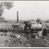 Migratory workers' "kitchen" near Shafter. Kern County, California. Squatters' camp