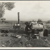 Migratory workers' "kitchen" near Shafter. Kern County, California. Squatters' camp