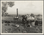 Migratory workers' "kitchen" near Shafter. Kern County, California. Squatters' camp