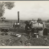 Migratory workers' "kitchen" near Shafter. Kern County, California. Squatters' camp