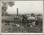 Migratory workers' "kitchen" near Shafter. Kern County, California. Squatters' camp