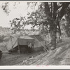 Wife and child of migrant worker, encamped near Winters, California. This is a proposed location of Resettlement Administration migrant camp