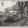 Wife and child of migrant worker, encamped near Winters, California. This is a proposed location of Resettlement Administration migrant camp