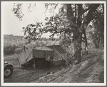 Wife and child of migrant worker, encamped near Winters, California. This is a proposed location of Resettlement Administration migrant camp