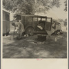 Wife of migratory worker in auto camp. California