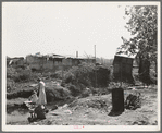 Squatter camp. California