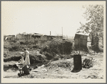 Squatter camp. California