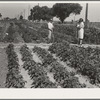 Farm workers victory festival, June 1942. Mr. and Mrs. James Ramsey have one of the best gardens at Woodville FSA Farm Workers Community. They are labor home residents. Baby McAdoo is a young neighbor for whom they care while his parents are working in the field
