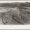 Recreational facilities for the children, Kern migrant camp, California